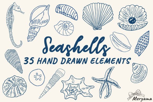 Hand Drawn Summer Seashell SVG PNG – A Coastal-Inspired Graphics Set for Local Branding and Packaging
