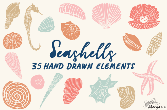 Summer Seashell Hand Drawn Sea Shell Graphics for Local Branding